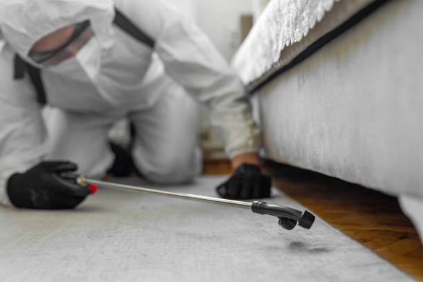Professional Bed Bug Control technician working in Victoria, MN